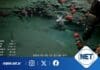 Un viaje al fondo del océano: científicos argentinos exploran el Cañón Mar del Plata