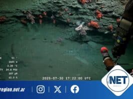 Un viaje al fondo del océano: científicos argentinos exploran el Cañón Mar del Plata