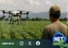 El uso de drones en la aplicación agrícola gana terreno en el Norte argentino