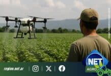 El uso de drones en la aplicación agrícola gana terreno en el Norte argentino