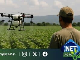 El uso de drones en la aplicación agrícola gana terreno en el Norte argentino