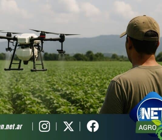 El uso de drones en la aplicación agrícola gana terreno en el Norte argentino