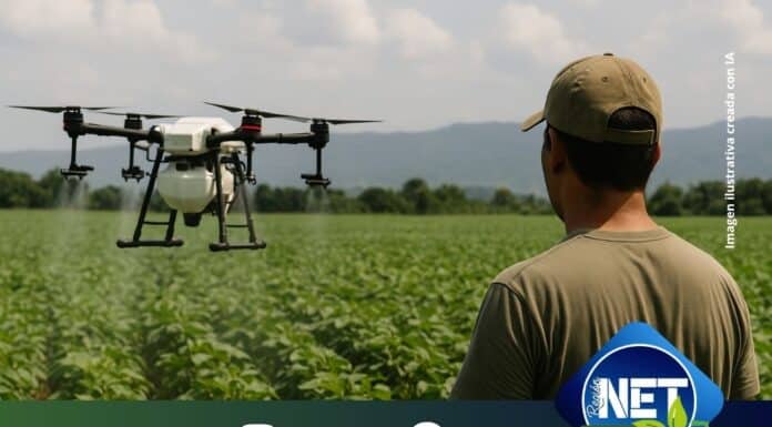 El uso de drones en la aplicación agrícola gana terreno en el Norte argentino