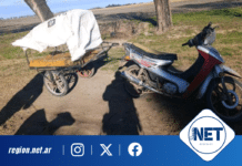 Las Perdices: secuestran moto, carro y un perro por caza ilegal en zona del cementerio