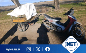 Las Perdices: secuestran moto, carro y un perro por caza ilegal en zona del cementerio