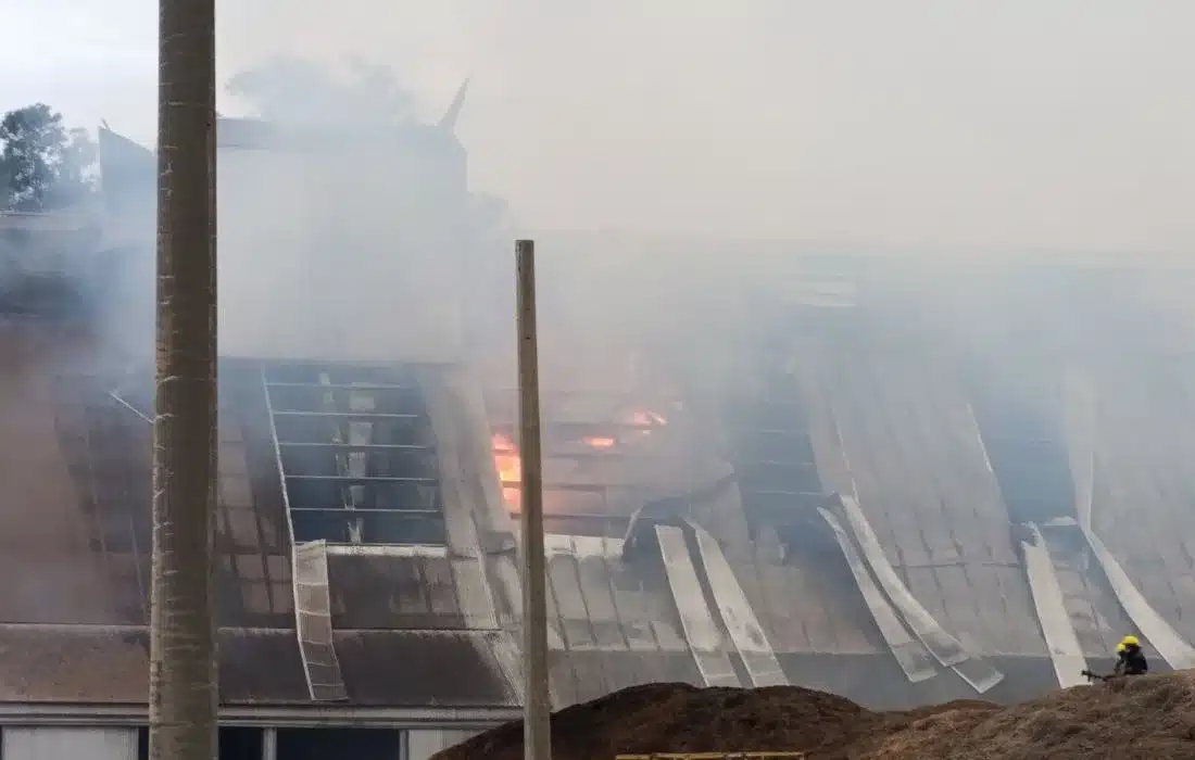 Incendio en la planta de OC Bioenergía de Prodeman en General Cabrera