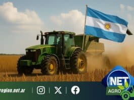 Histórica rebaja de retenciones al campo: el Gobierno elimina cargas para el agro