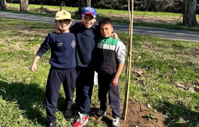 Prodeman y la Municipalidad de Cabrera celebraron el Día del Árbol