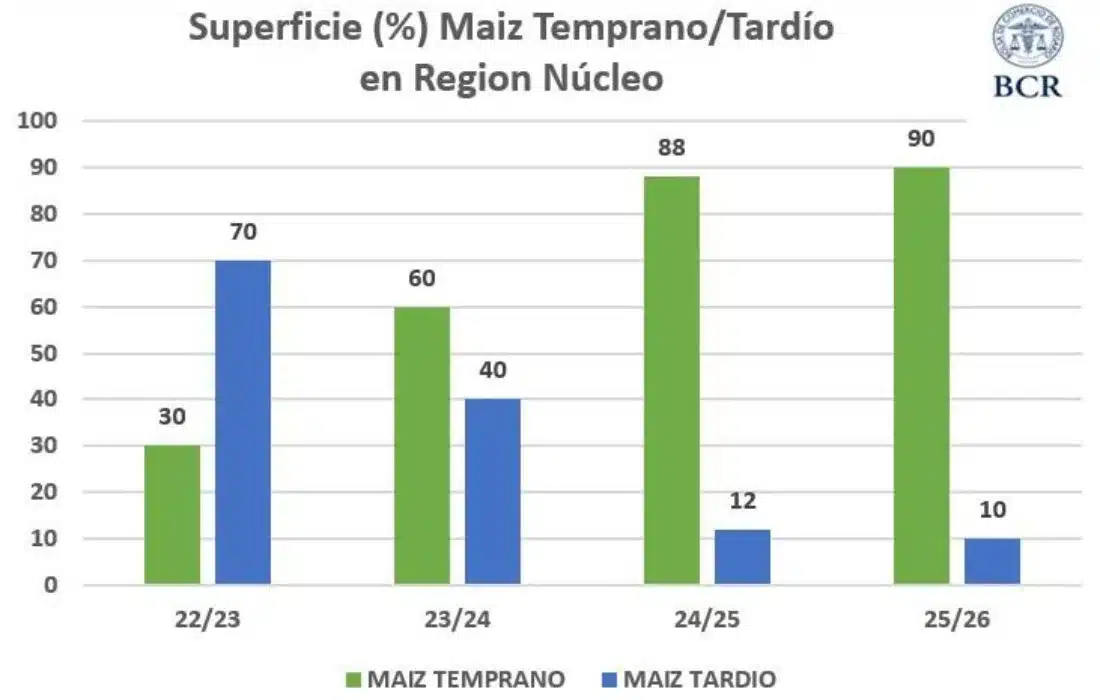 El Maíz en Córdoba recupera terreno: siembra nacional repunta casi un 10% y muestra señales prometedoras