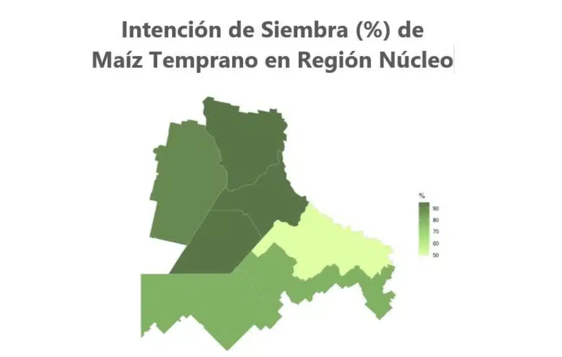 El Maíz en Córdoba recupera terreno: siembra nacional repunta casi un 10% y muestra señales prometedoras