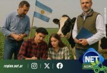 6 de agosto: celebramos el Día del Ingeniero Agrónomo y la educación agropecuaria