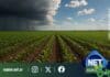 SMN: contrastes de lluvias y temperaturas desafían la planificación agrícola del próximo trimestre