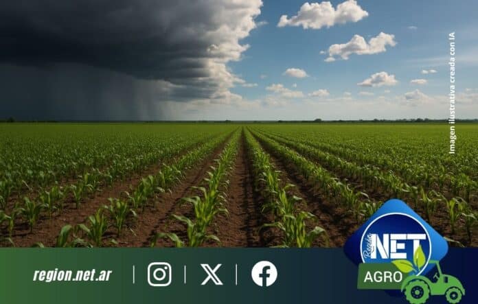SMN: contrastes de lluvias y temperaturas desafían la planificación agrícola del próximo trimestre