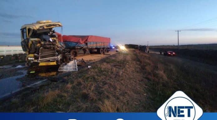 Accidente fatal en Ruta 35 en Holmber: murió un camionero y aún no fue identificado