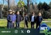 Prodeman y la Municipalidad de Cabrera celebraron el Día del Árbol