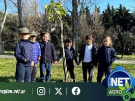Prodeman y la Municipalidad de Cabrera celebraron el Día del Árbol