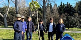 Prodeman y la Municipalidad de Cabrera celebraron el Día del Árbol