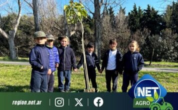 Prodeman y la Municipalidad de Cabrera celebraron el Día del Árbol