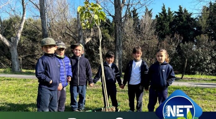 Prodeman y la Municipalidad de Cabrera celebraron el Día del Árbol