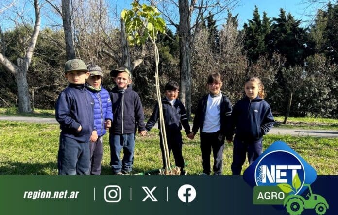 Prodeman y la Municipalidad de Cabrera celebraron el Día del Árbol