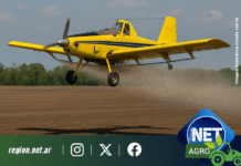 Siembra aérea: la técnica que permite sembrar más hectáreas en menos tiempo