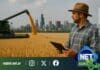 Canje de granos por inmuebles: la alternativa que gana espacio en el agro