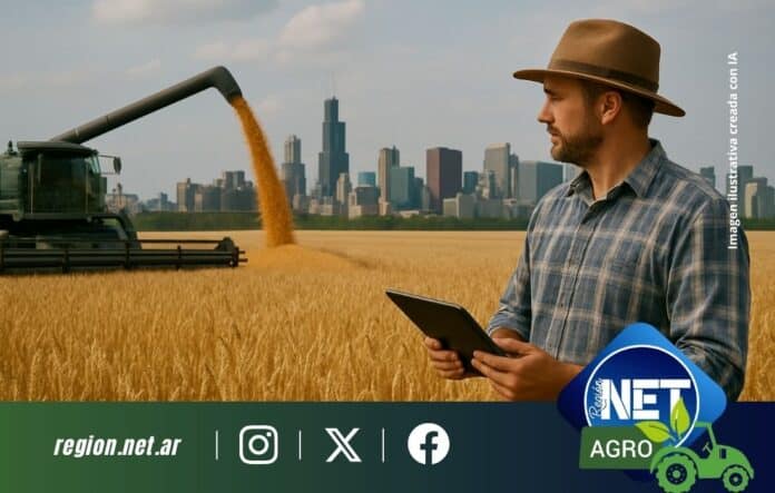 Canje de granos por inmuebles: la alternativa que gana espacio en el agro